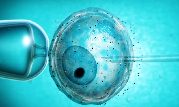 Fertility after 40 – Dr Jain on the Egg Whisperer show video transcript